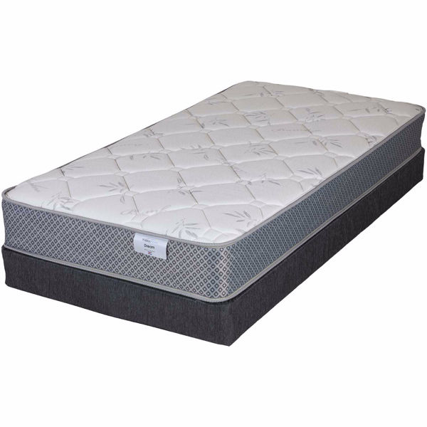 Dream Twin With Low Profile Box Spring, Twin Bed Frame And Box Spring
