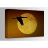 Picture of Sandhill Crane Against the Moon 36x24 *D