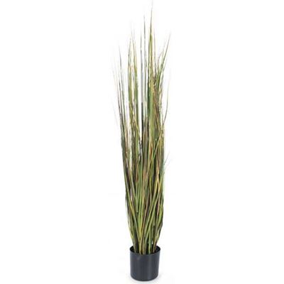 Picture of 5' Mix Green Onion Grass