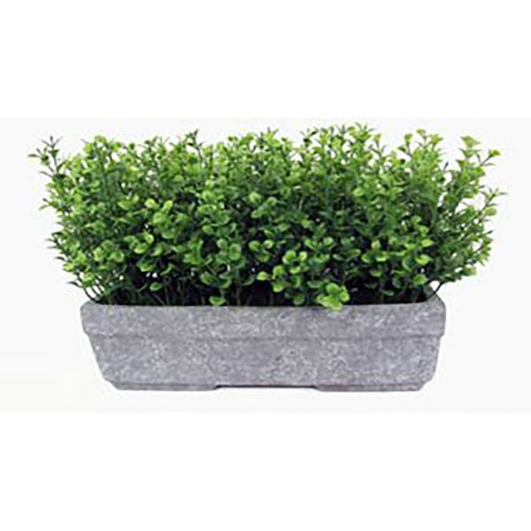 Picture of Artificial Grass Terracota Pot