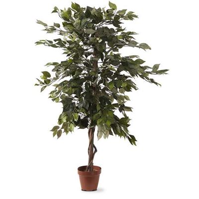 Picture of Faux Ficus Tree