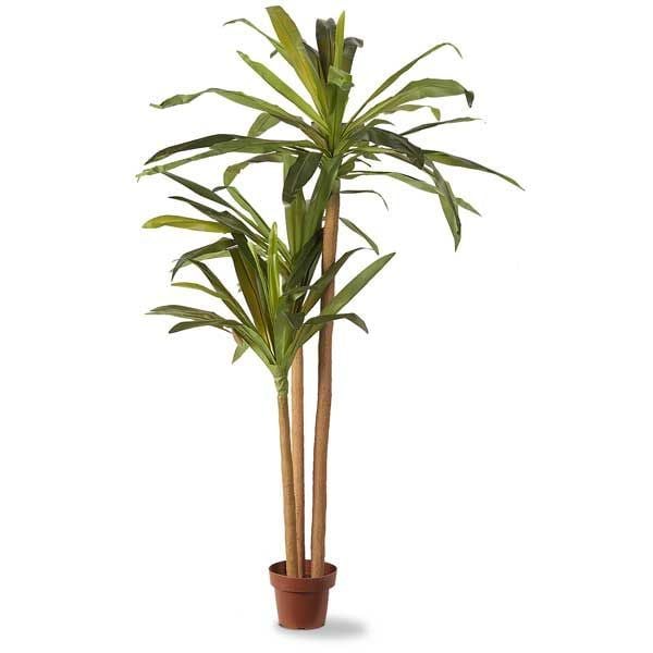 Faux Palm Tree 1D-2693 | Artificial Plants & Trees | AFW.com