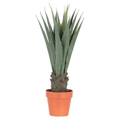 Picture of AGAVE PLANT BROWN POT