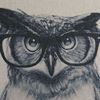 Picture of Studious Owl 18x18 Decorative Pillow