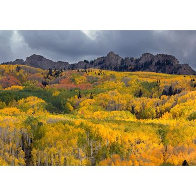 Picture of Kebler Pass 36x24 *D
