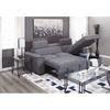 Picture of Levi 2 Piece Sectional with Pull Out Bed