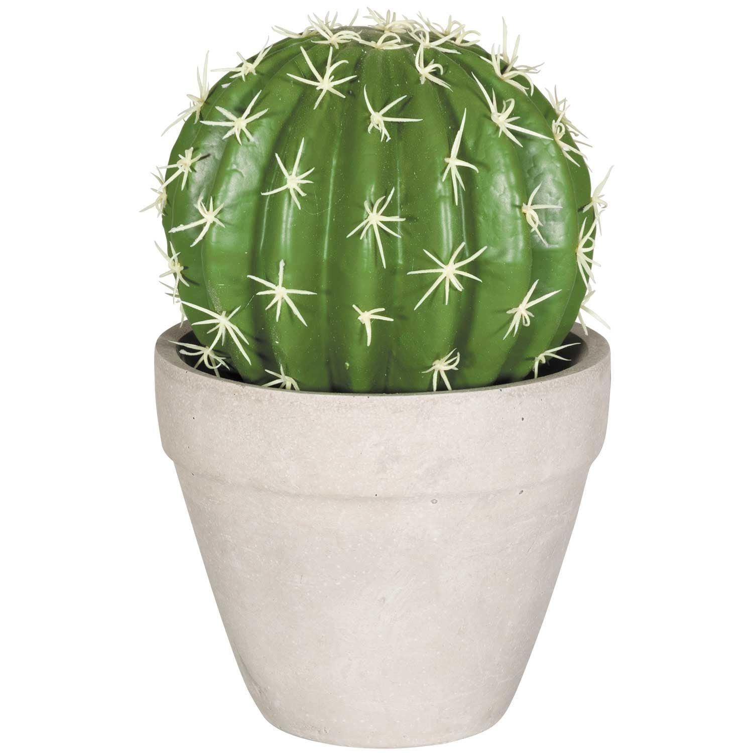 Round Cactus | GS-38901 | AFW.com