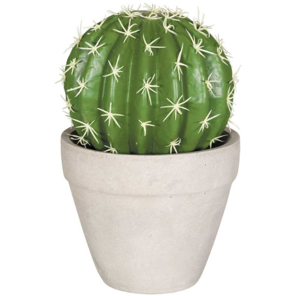 0101345_0101345_round-cactus.