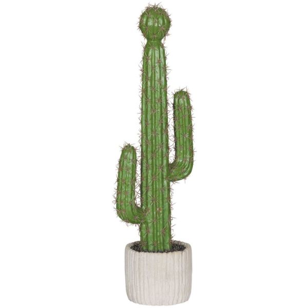 0101349_0101349_tall-cactus.