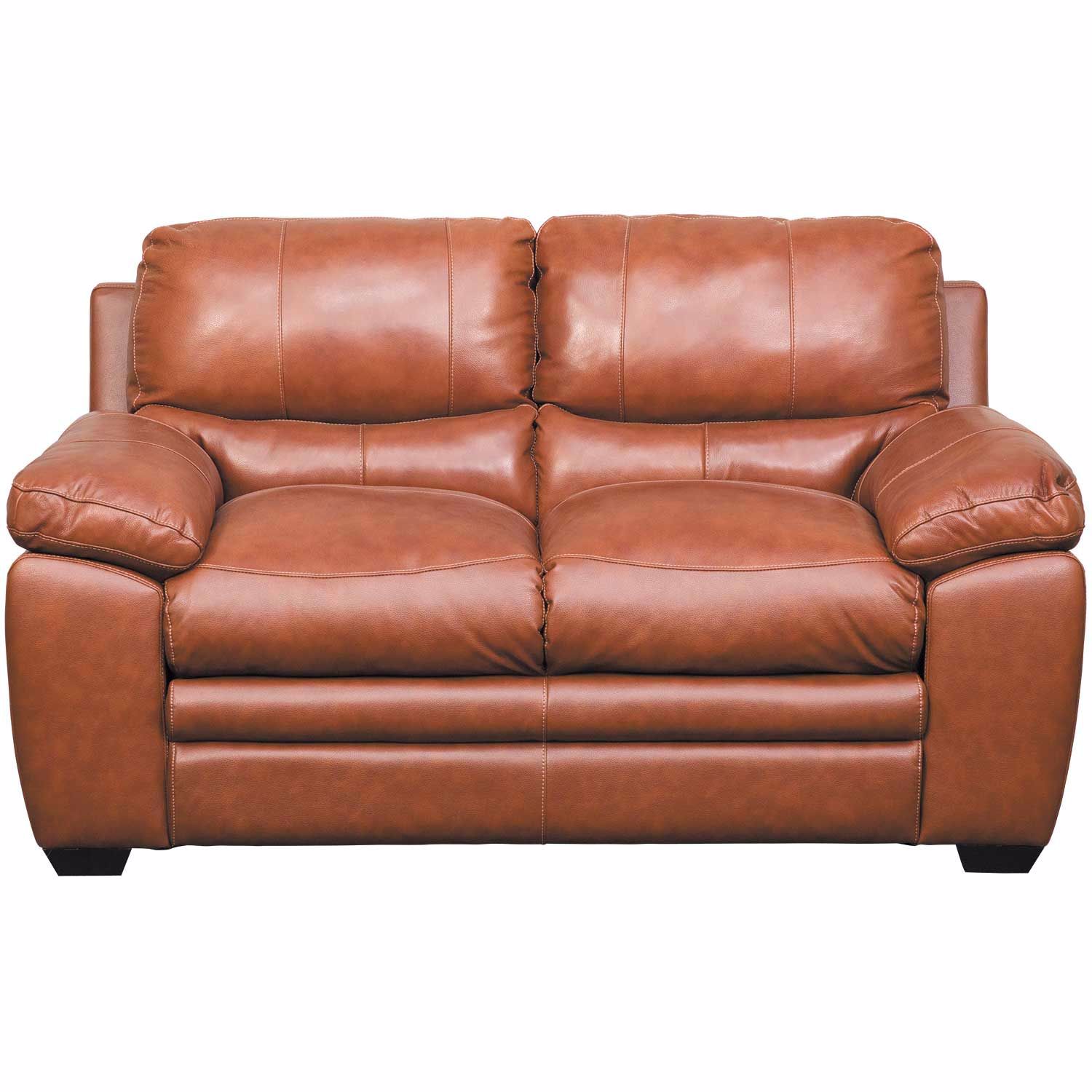 Logan Tobacco Brown Leather Loveseat