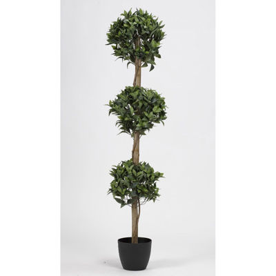 Picture of Bay Leaf 3 Tier Topiary Tree