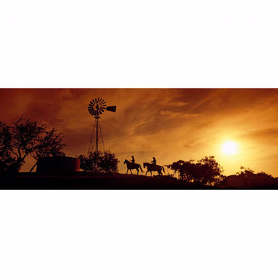 Picture of Horse Back Sunset 20x60 *D