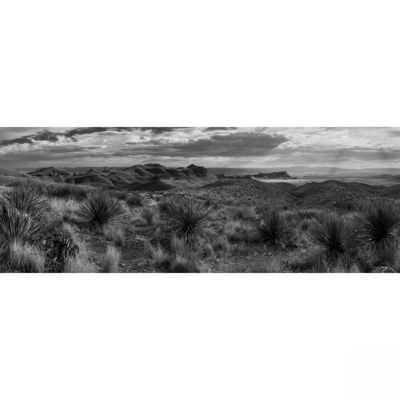 Picture of Sotol Vista BW Pano 20X60 *D