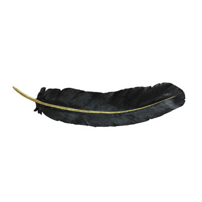 Picture of Black Feather Wall Decor 31 Inches Height
