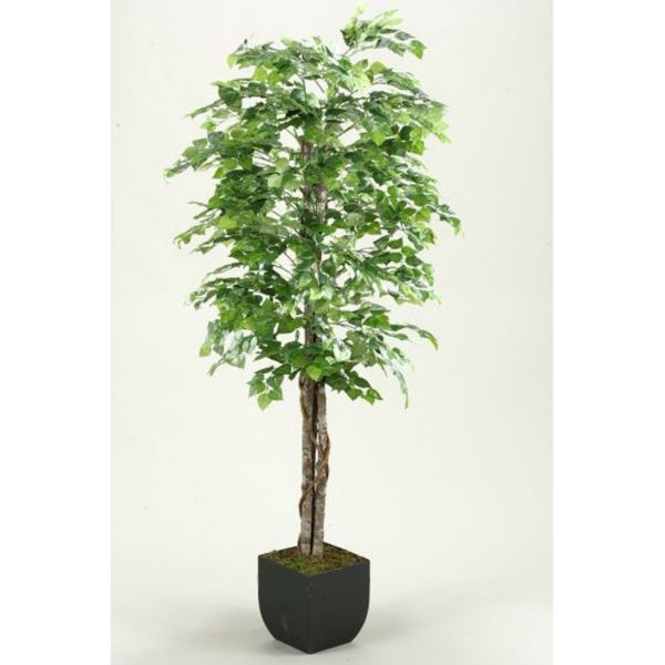 エバーフレッシュ 144cm 8号 S-shaped tree form Green Aspen Tree 72 In W Metal | 151-1287 | AFW.com