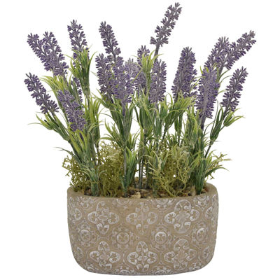 Picture of LAVENDER IN OVAL POT