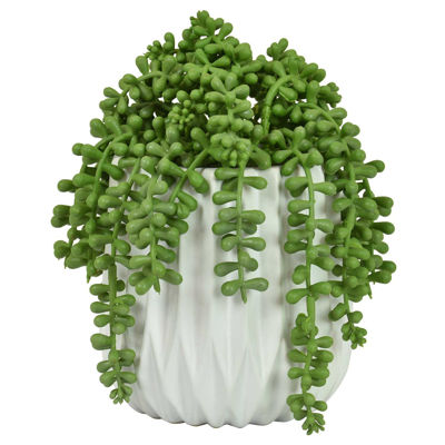 Picture of FAUX SUCCULENTS IN WHITE POT