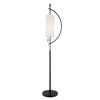 Picture of Contemporary Half Circle Floor Lamp