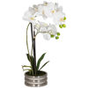 Picture of White Orchids