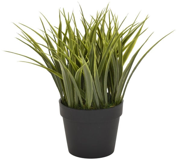Picture of Flower Pot Artificial Grass Greenery