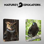 Natures Educators Birds